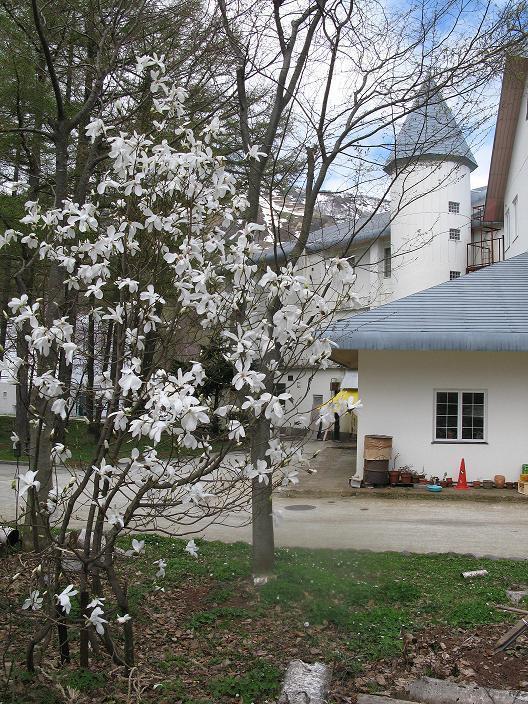 Grindelwald Yuzawa (Niigata) Exterior foto